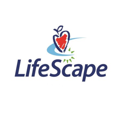 Event Home: 32nd Annual MallWalk